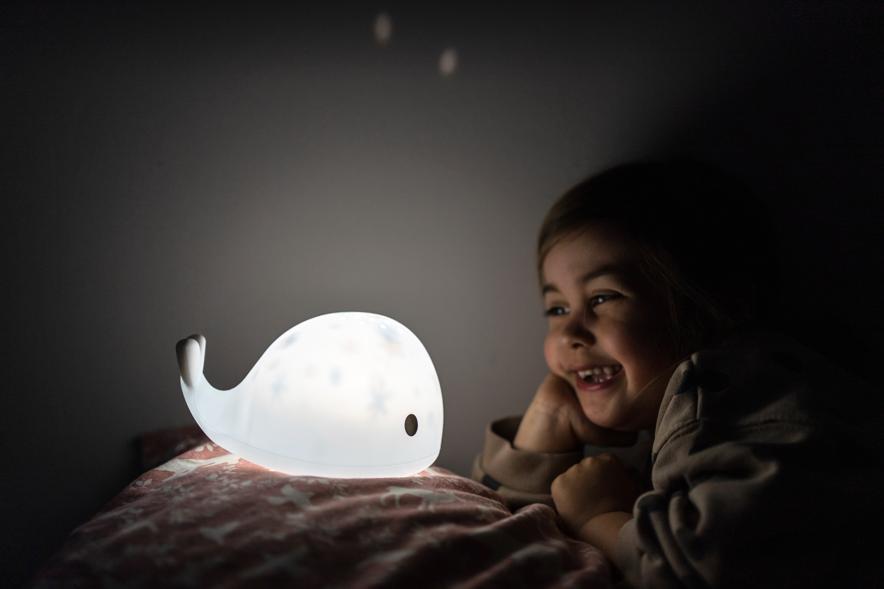 Flow Projector Moby  - 18