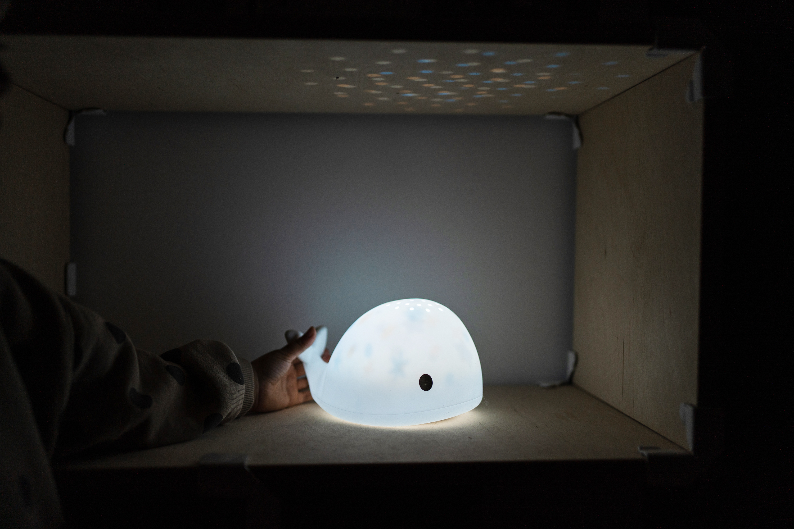 Flow Projector Moby  - 12