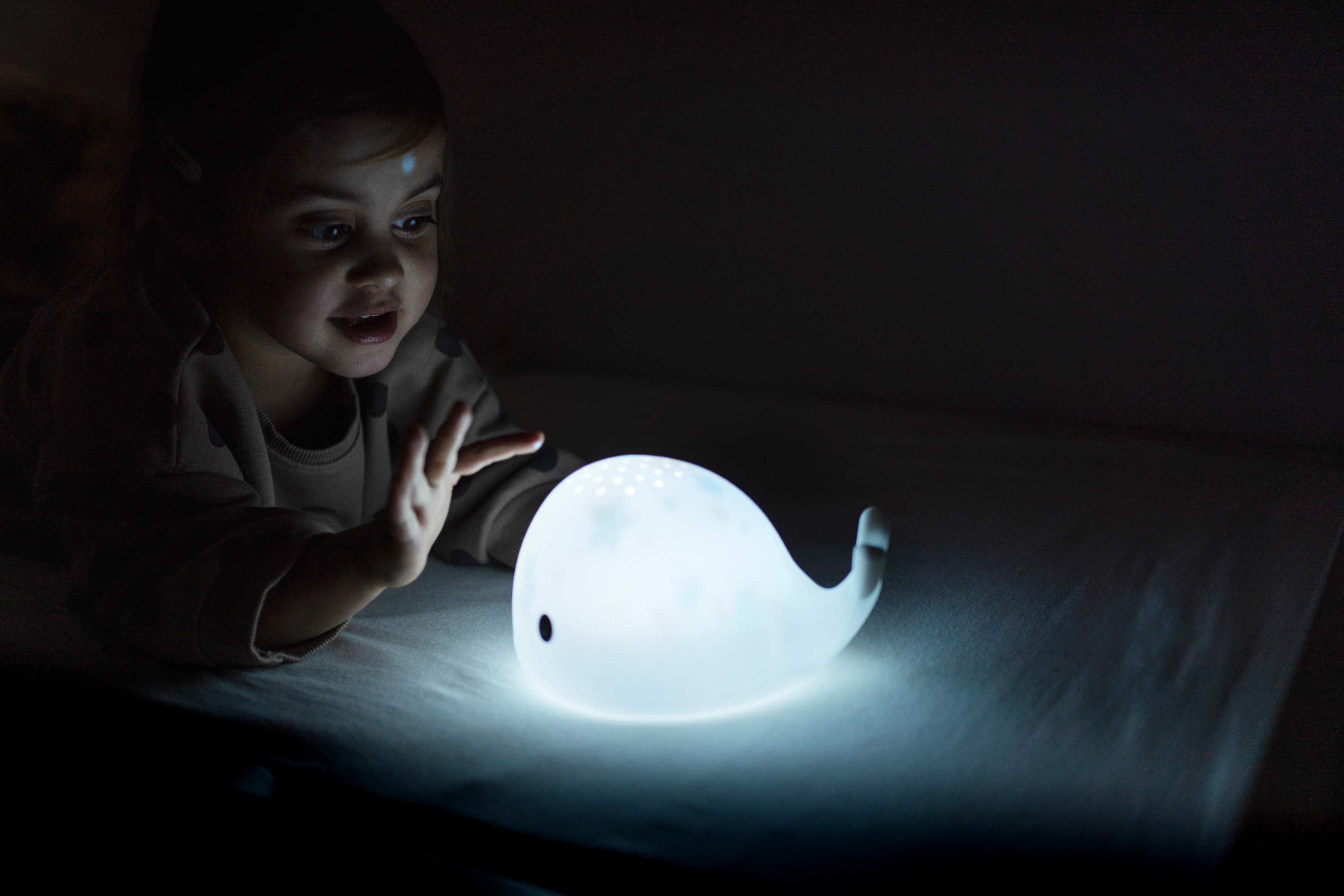 Flow Projector Moby  - 15