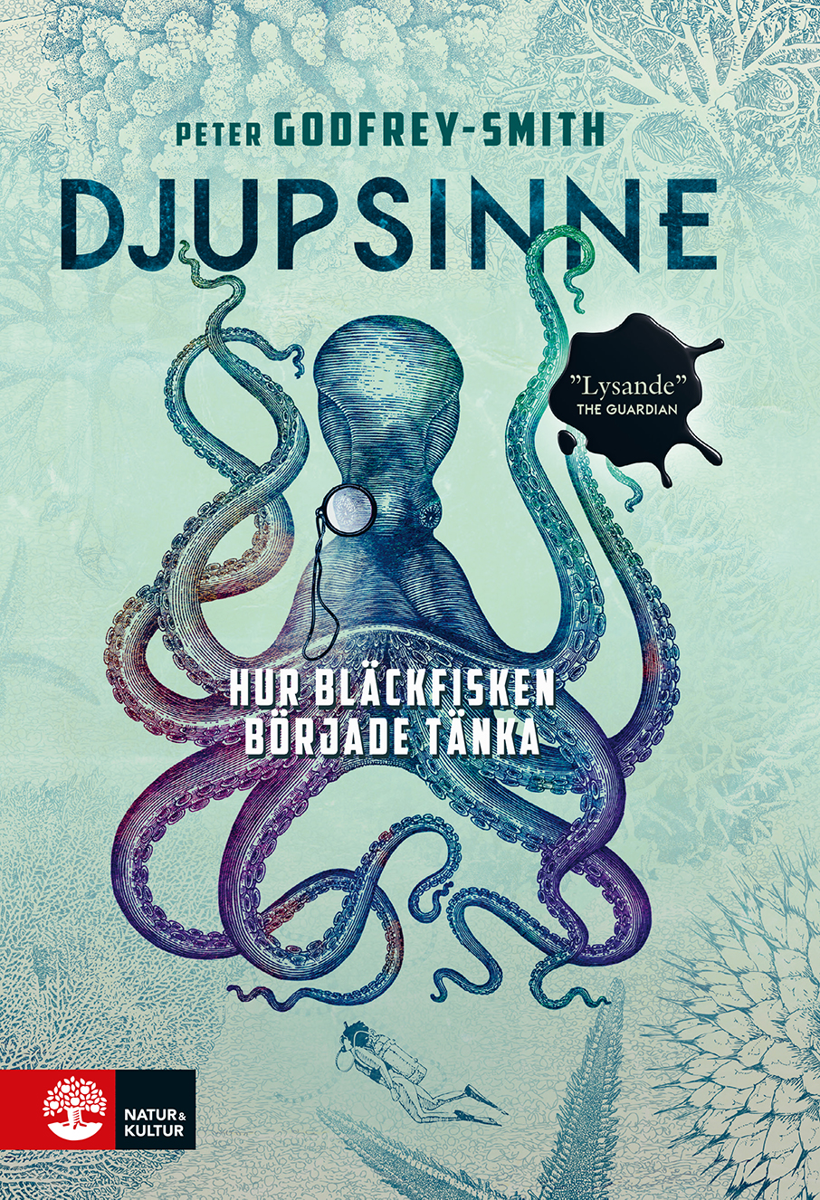 Djupsinne. Hur bläckfisken började tänka