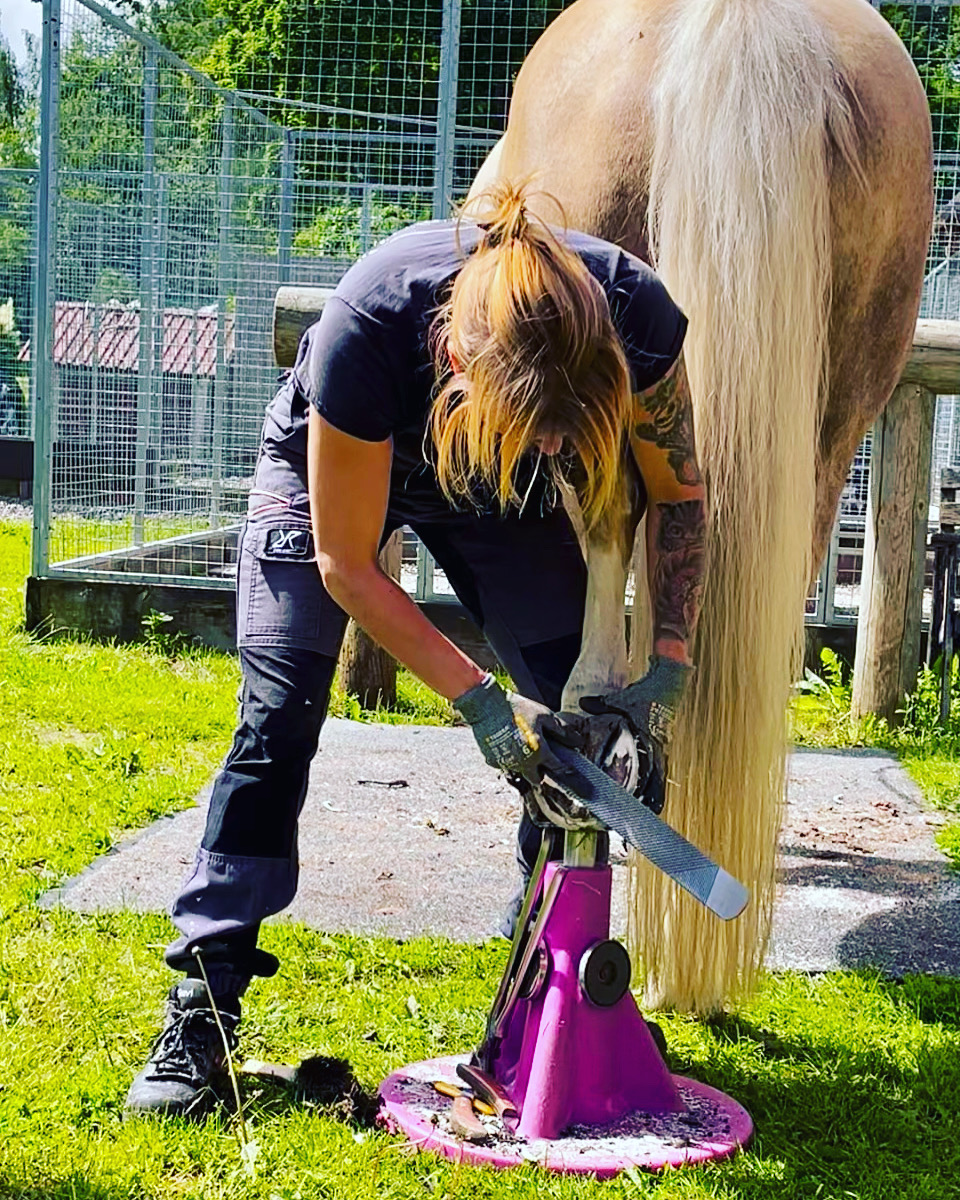 Bättre begagnad rasp