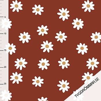 DAISY - TERRA