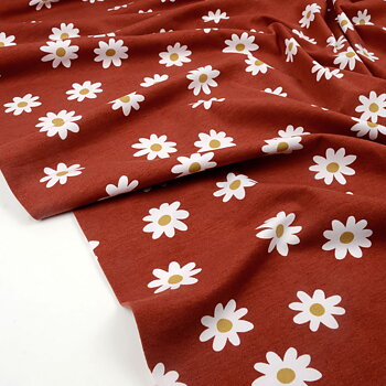 DAISY - TERRA