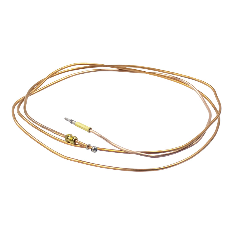 Thermocouple L=2000mm