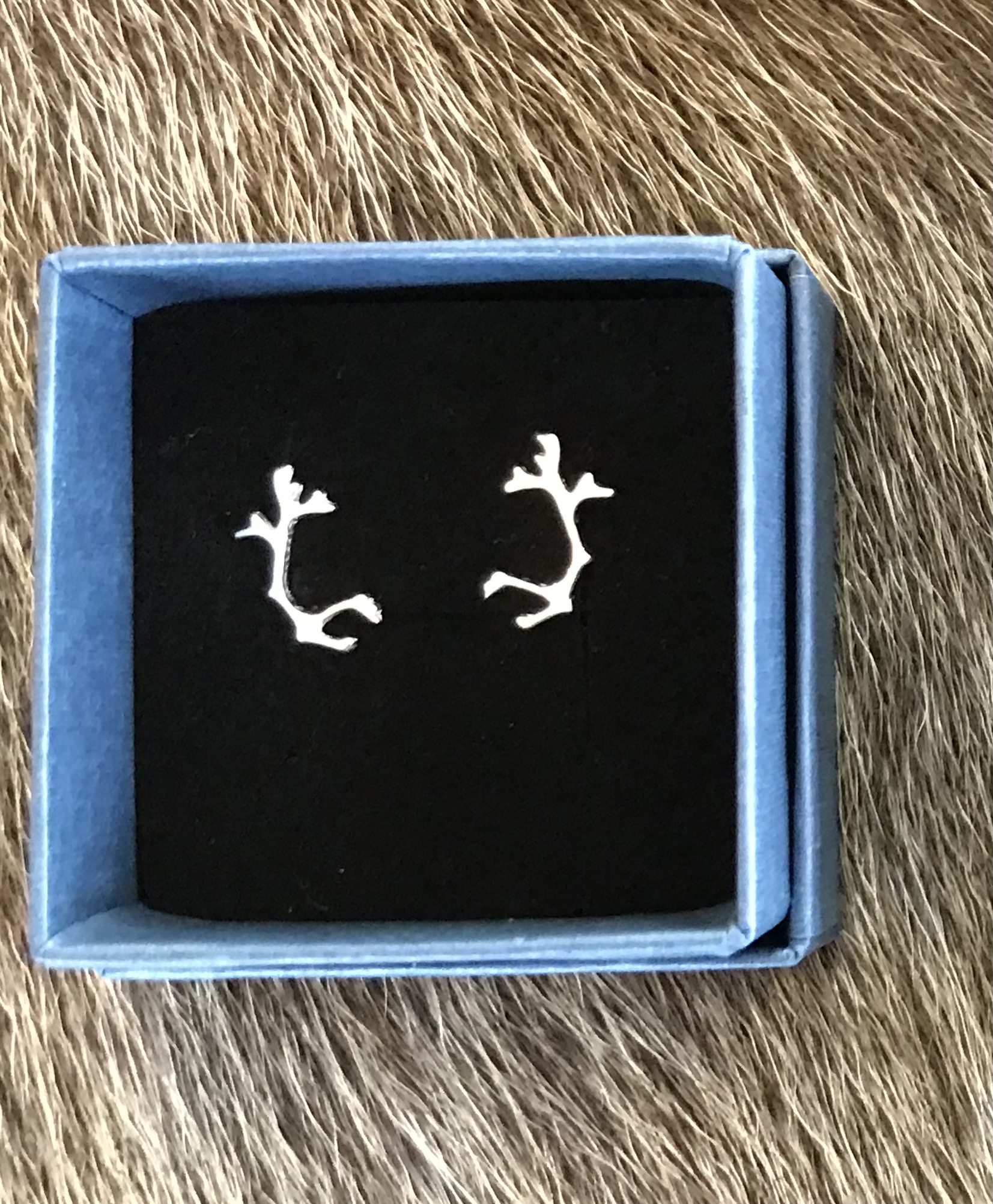 Ohrstecker Tjoarvve klein
