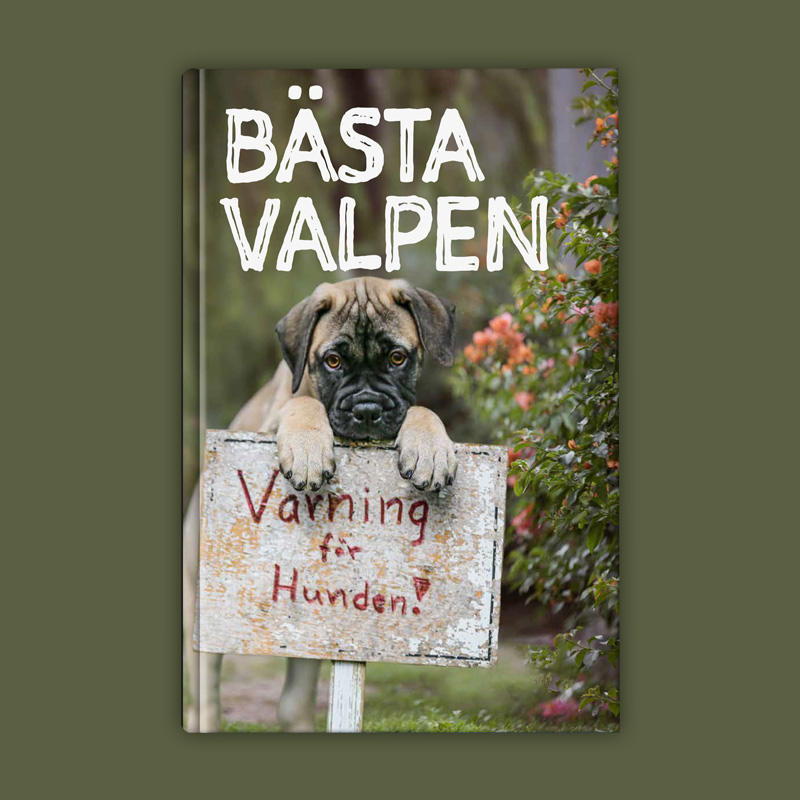 Bästa Valpen - Bok av Maria Brandel & Siv Svendsen