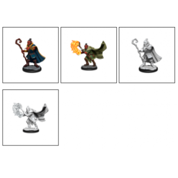 Critical Role Unpainted Miniatures: Hobgoblin Wizard and Druid Male&nbsp;&nbsp;
