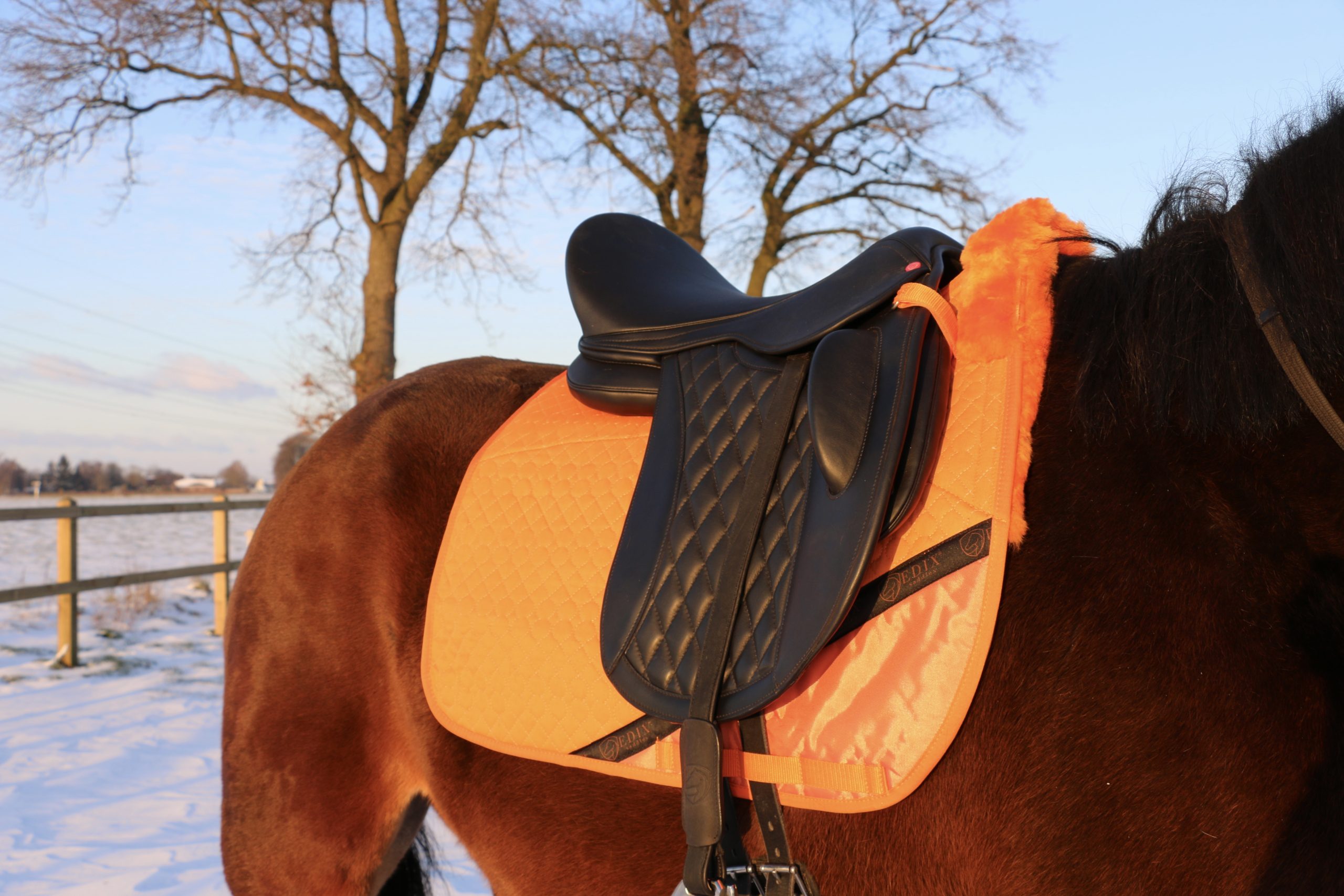 EDIX® Uni Dressyrschabrak, äkta Merinoull (inkl. 8 st ilägg), lila - 10