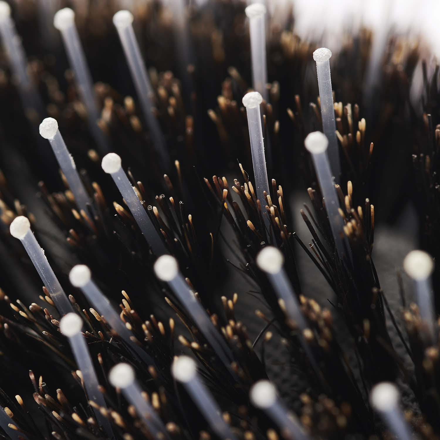 William Walker Long Hairbrush “Resolve” - 2