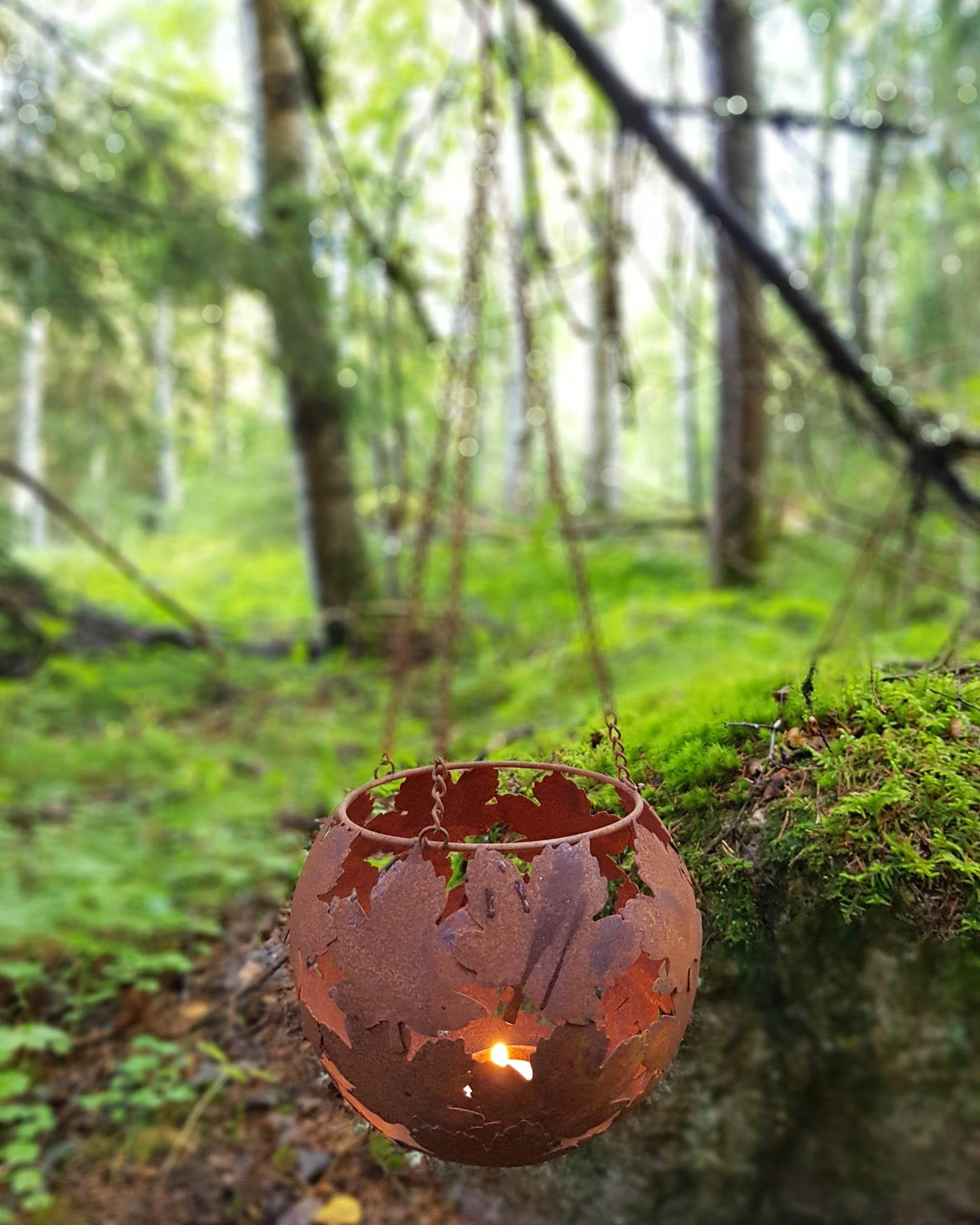 Hängande lönnklot litet