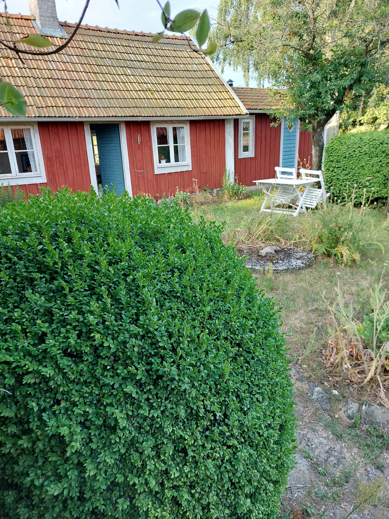Ölandstorpet, ute och trädgårdsbilder - 14