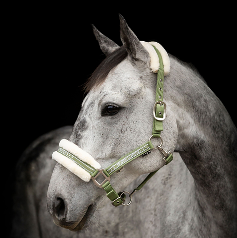 Grimma Horse Unique