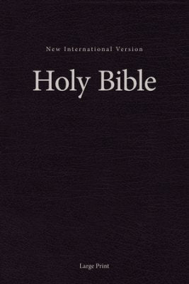 Engelsk Bibel NIV - storstil