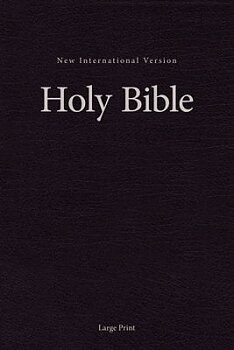 Engelsk Bibel NIV - storstil