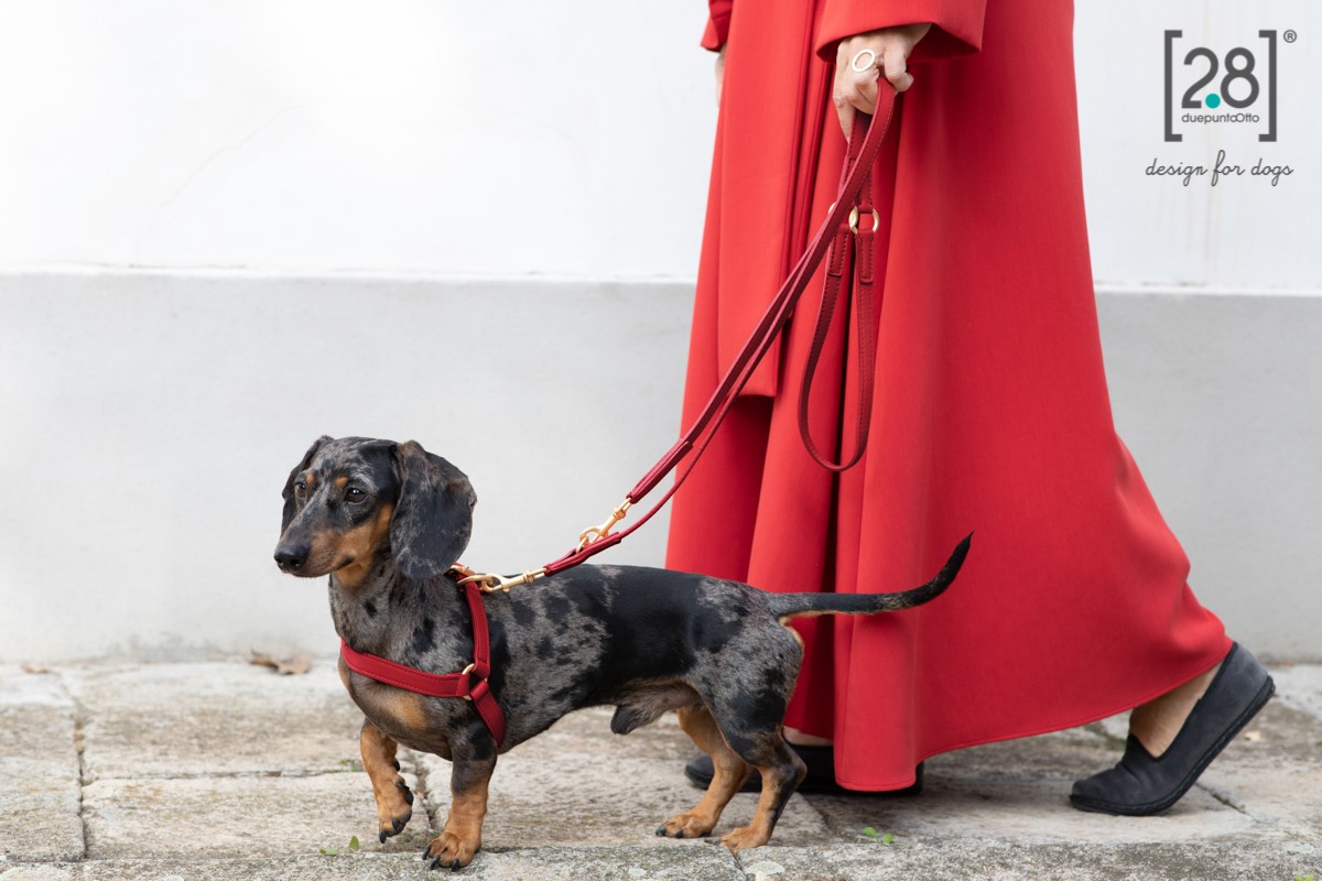 2.8 Mario Red Leather Leash  - 2