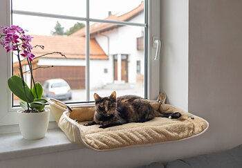 Fönsterbädd Kerbl