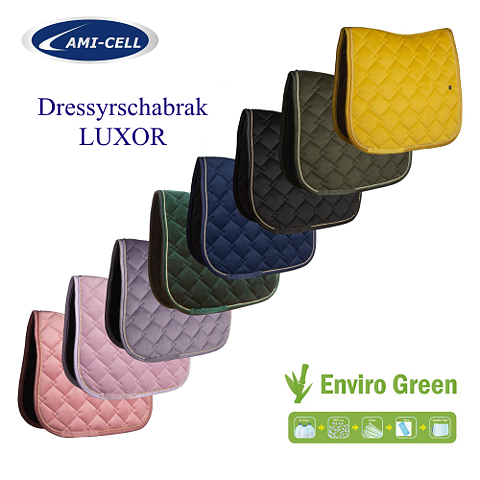 Schabrak Luxor - dressyr