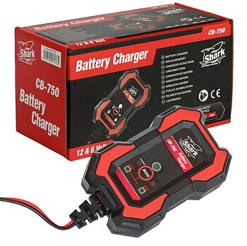 12V / 6V Batteriladdare 0,75A – Automatisk Laddare för MC & ATV