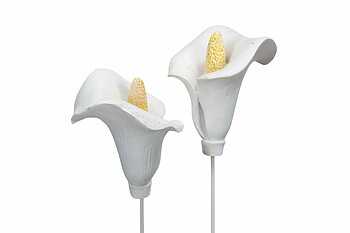 Blomma Kalla/Stick Vit