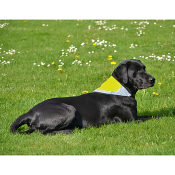 Reflective scarf - Yellow - Several sizes
