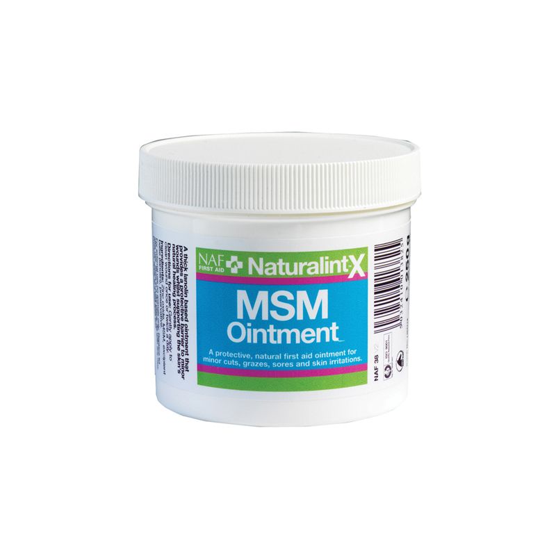 NAF - NaturalintX MSM Salva 250g