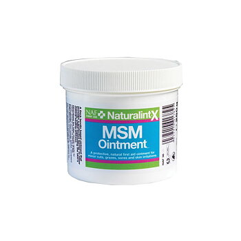 NAF - NaturalintX MSM Salva 250g