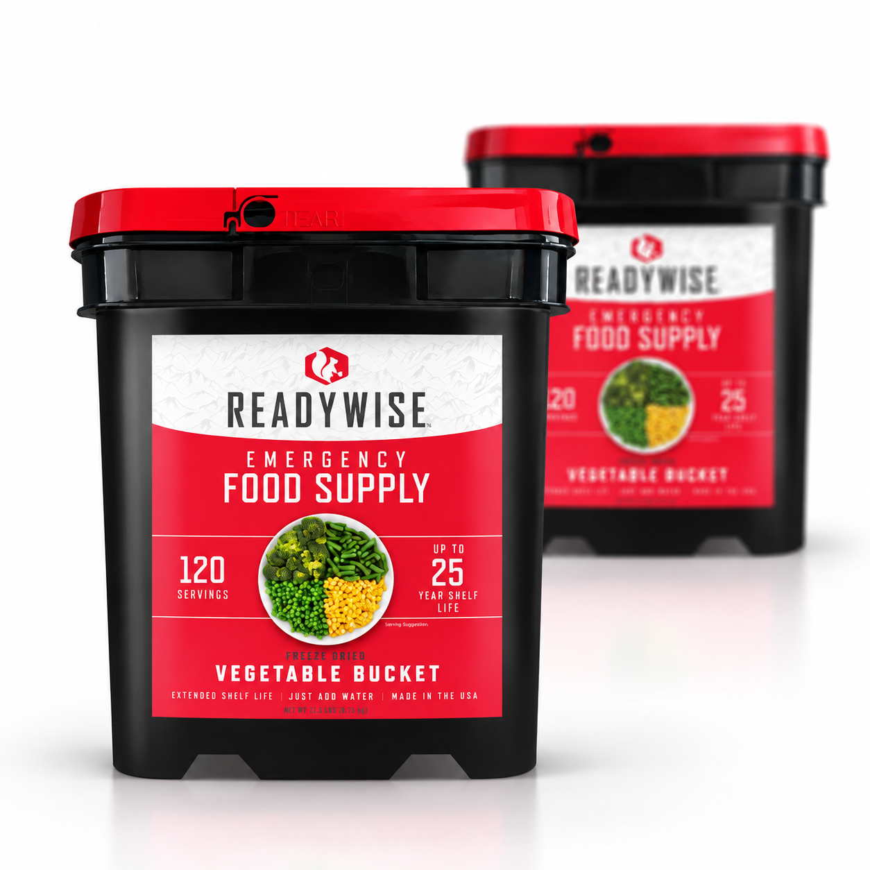 Readywise Fruit And Veggies | Gefriergetrocknete Lebensmittel | Mahlzeitenpaket | 1774g