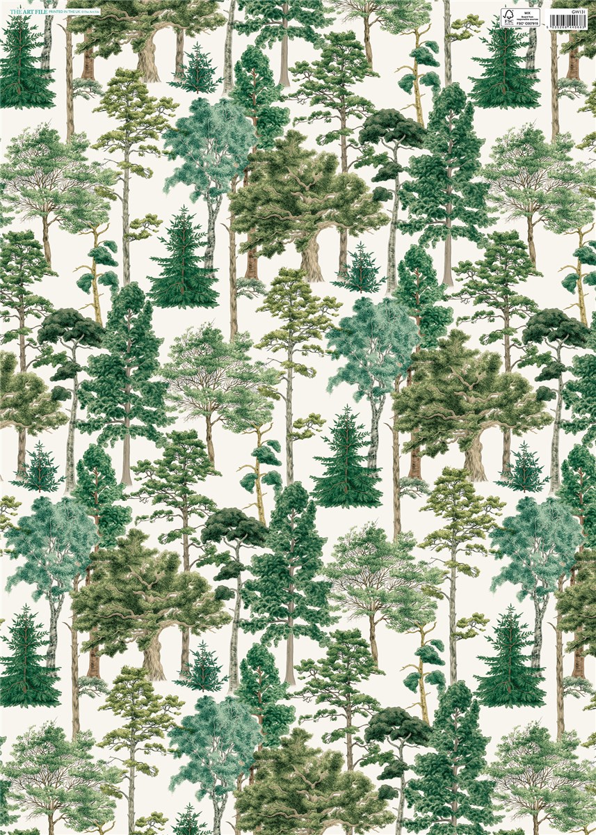 Major Oak Gw, Flat Wrap