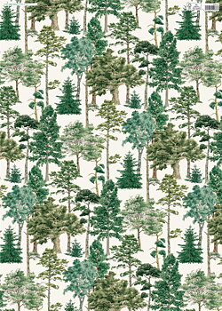 Major Oak Gw, Flat Wrap