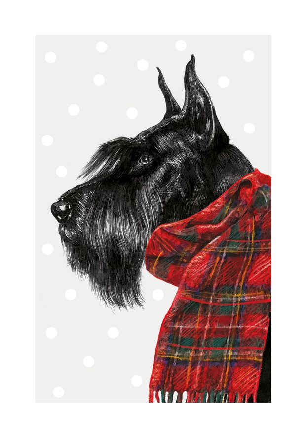 Xmas Schnauzer, Greeting Card