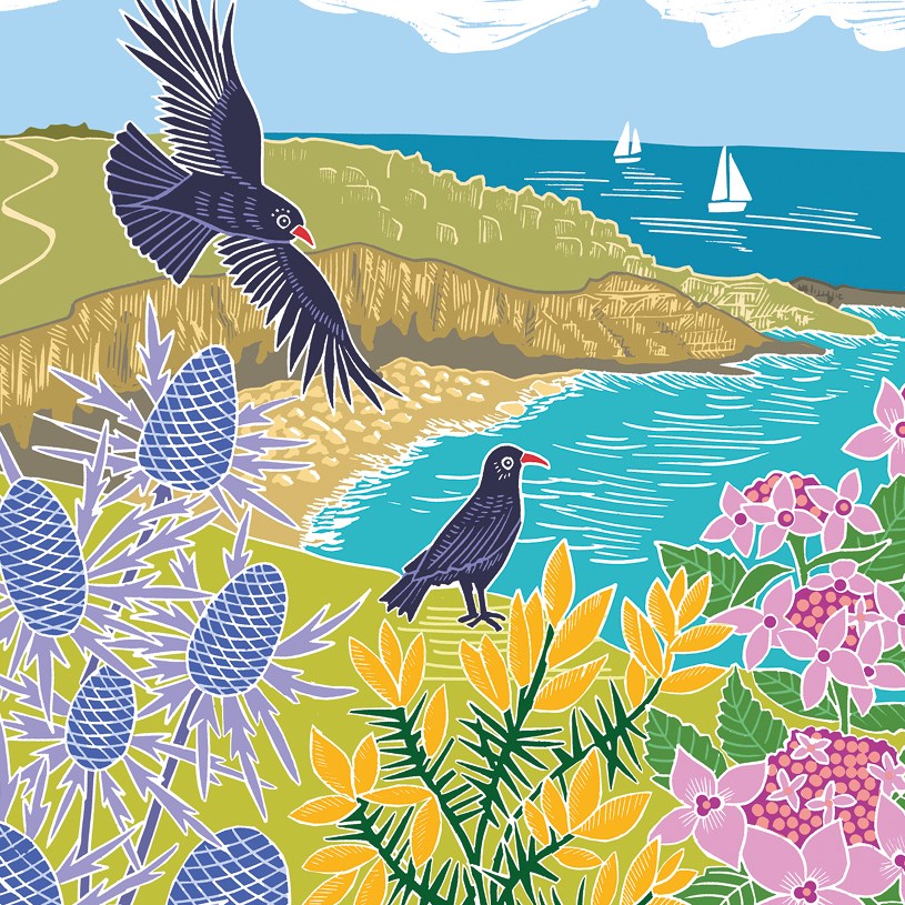 Choughs On The Cliffs, Greeting Card