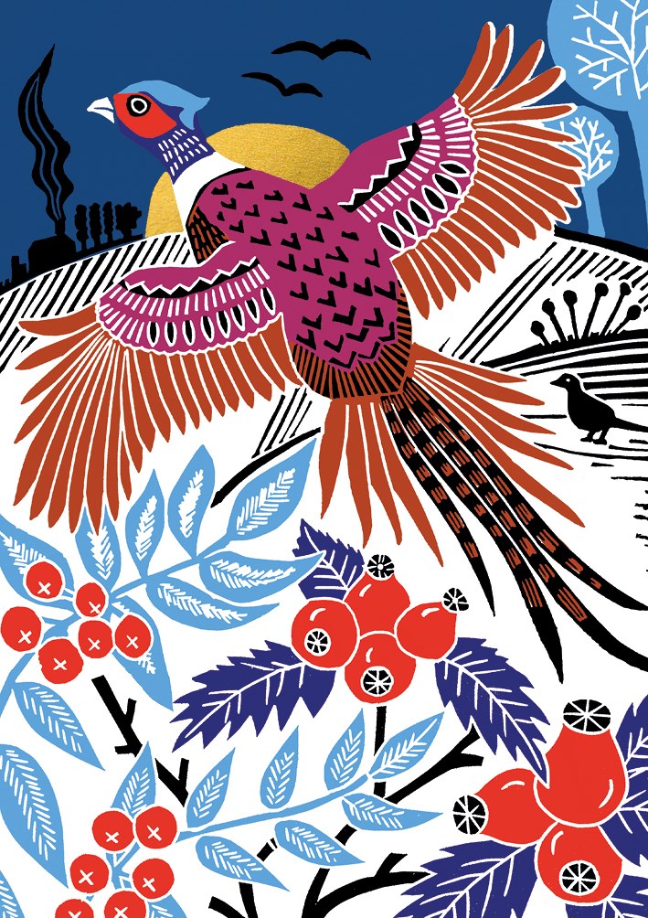 Pheasant, Greeting Card