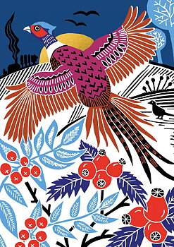 Pheasant, Greeting Card