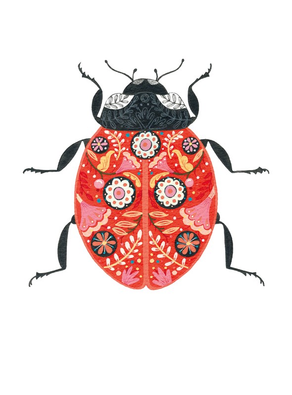 Floral Ladybird, Greeting Card