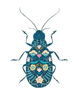 Floral Beetle, Greeting Card