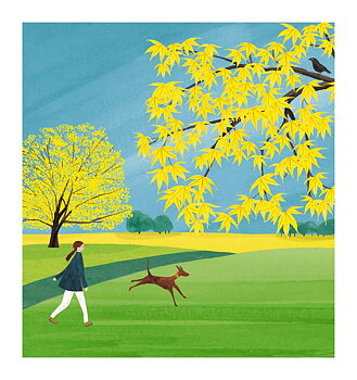 Rd06A - Yellow Leaves & Dog Walker, Greeting Card