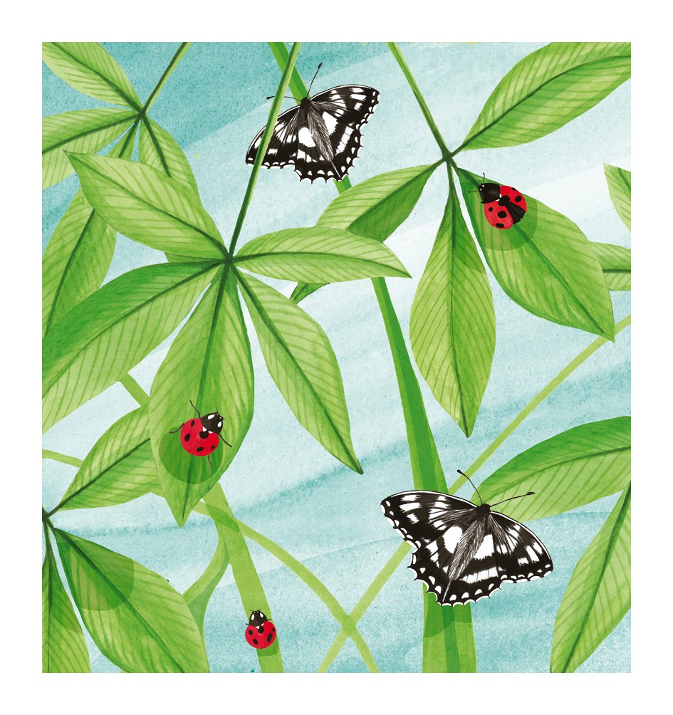 Rd07A - Butterflies & Ladybirds, Greeting Card