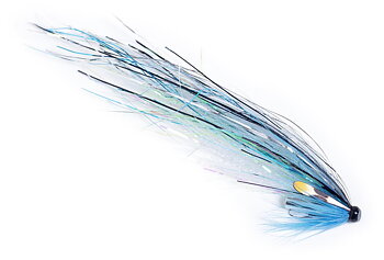 SG's Sillen Flashwing