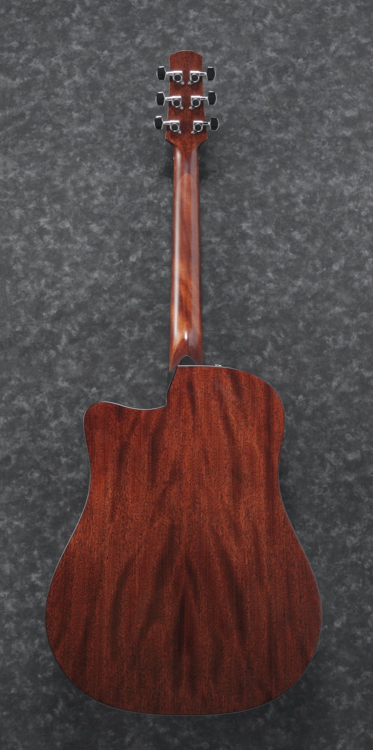 Ibanez AAD300CE-LGS - 2