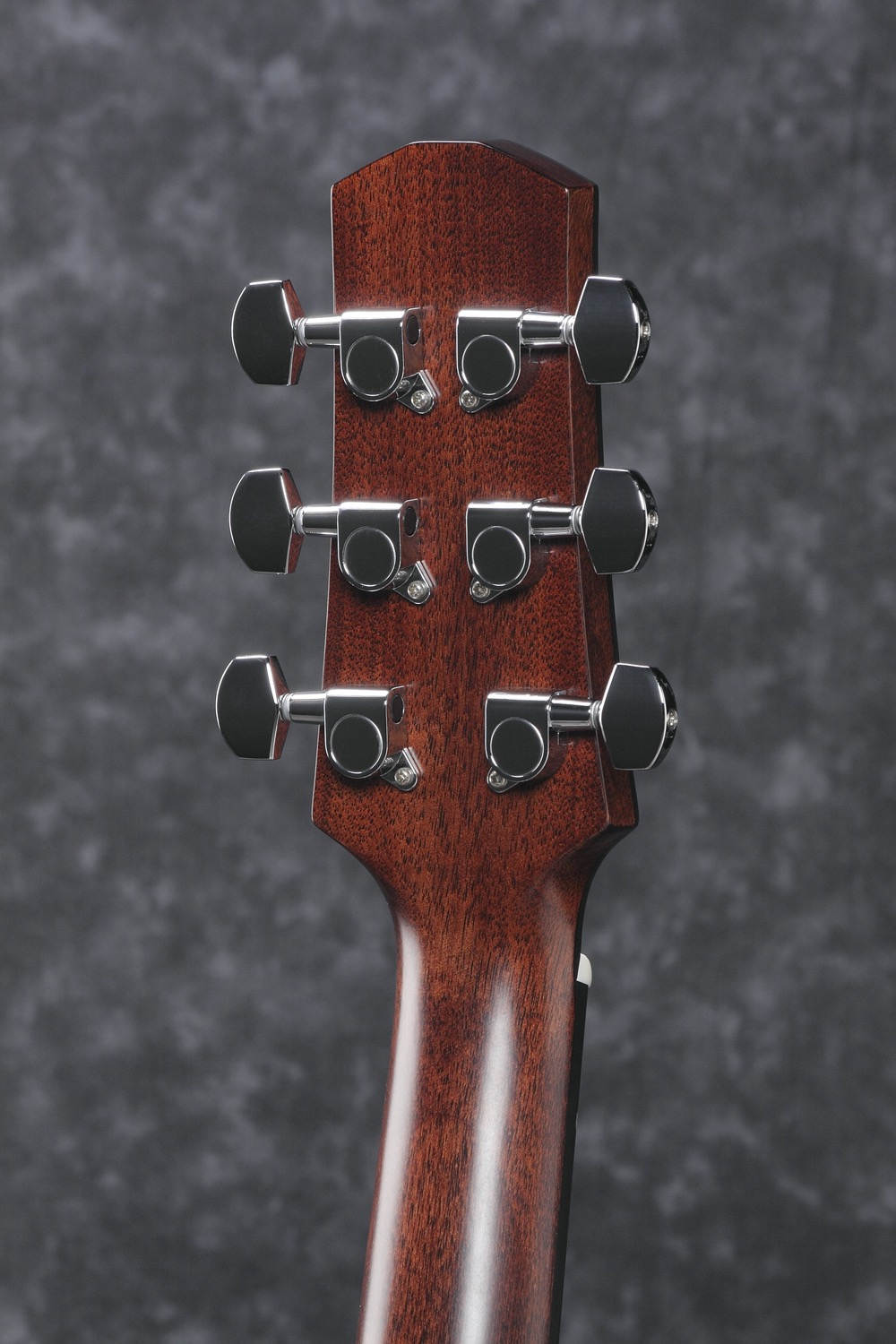 Ibanez AAD300CE-LGS - 5