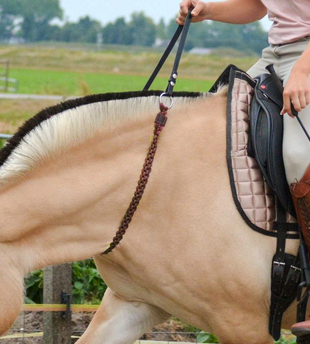 Neck ring / cordeo Edix© Aisha, brown