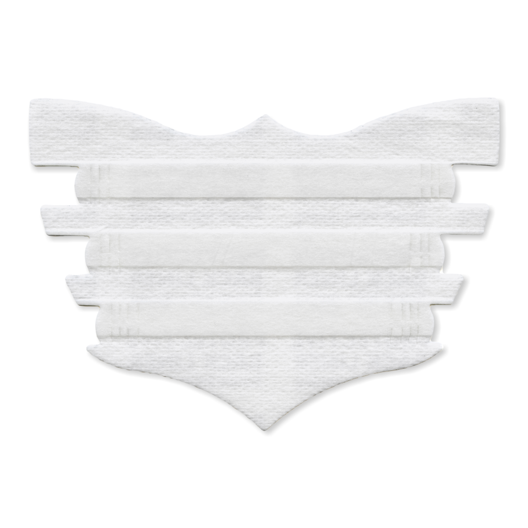 Flair Equine Nasal Strips – Vita