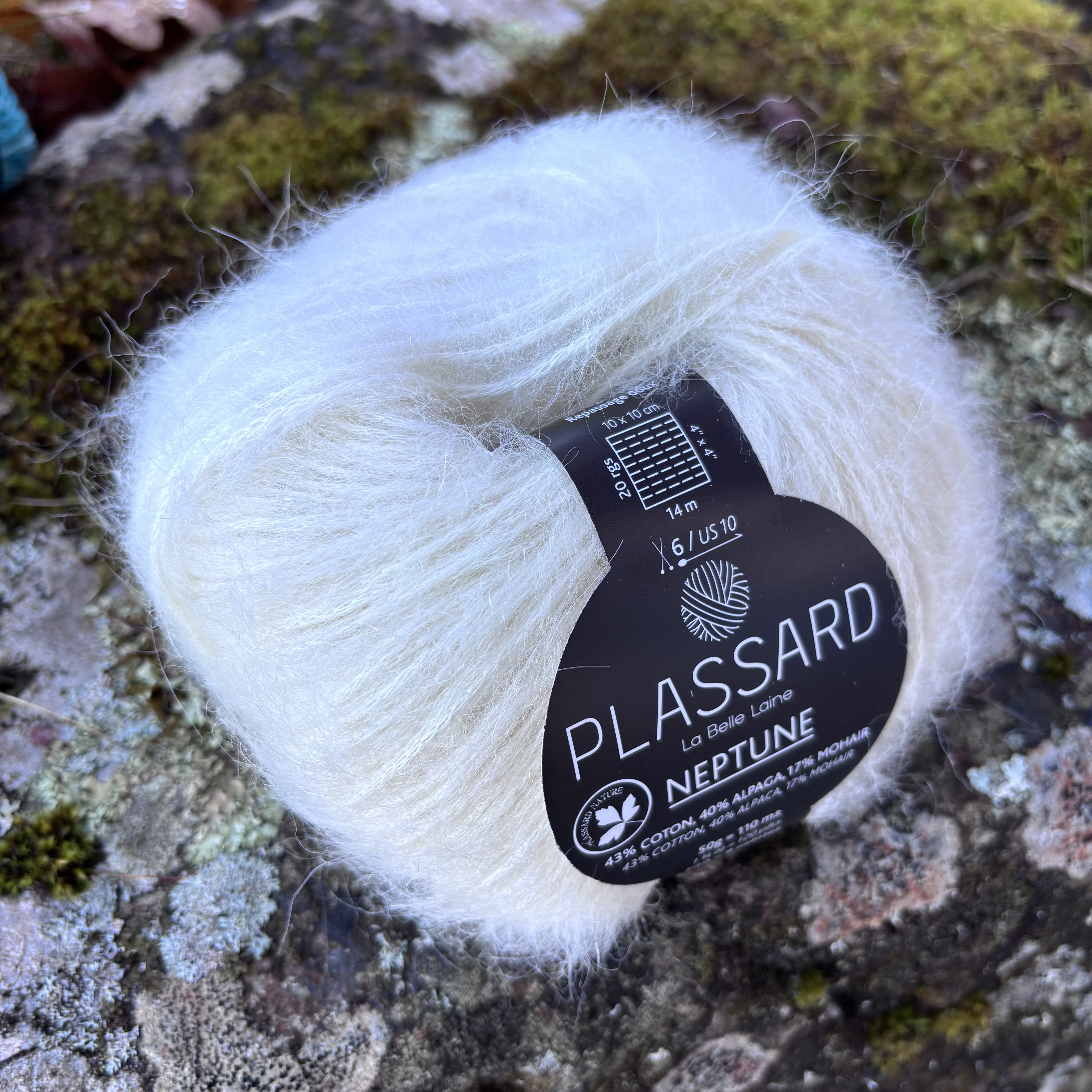 Plassard Neptune  - 7