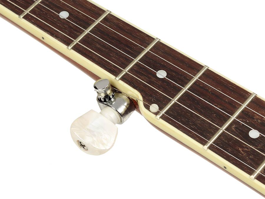 Richwood Master Series open back 5-string folk banjo - 6