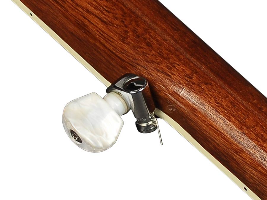 Richwood Master Series open back 5-string folk banjo - 7