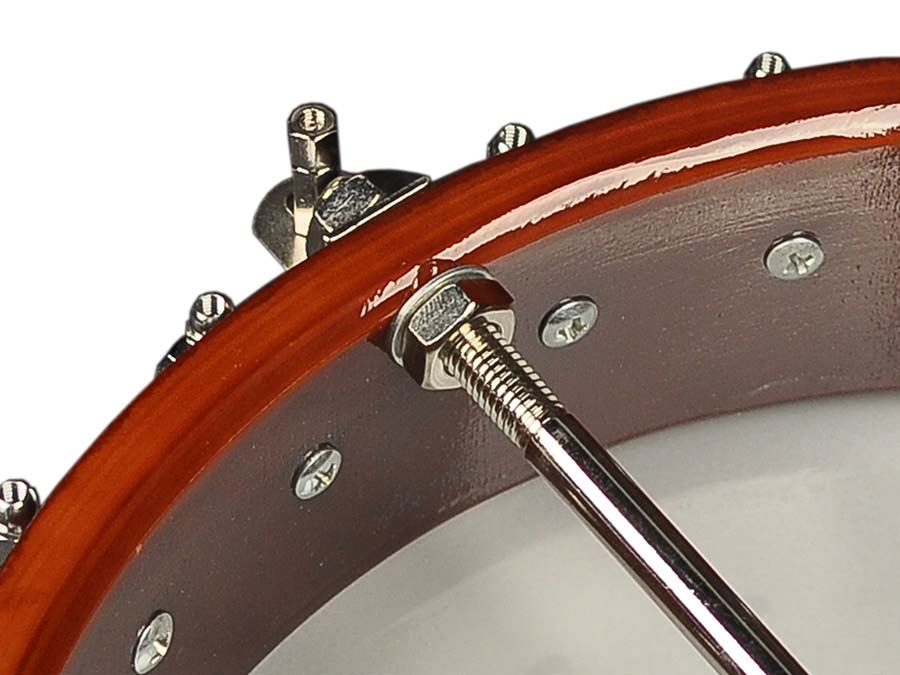 Richwood Master Series open back 5-string folk banjo - 11