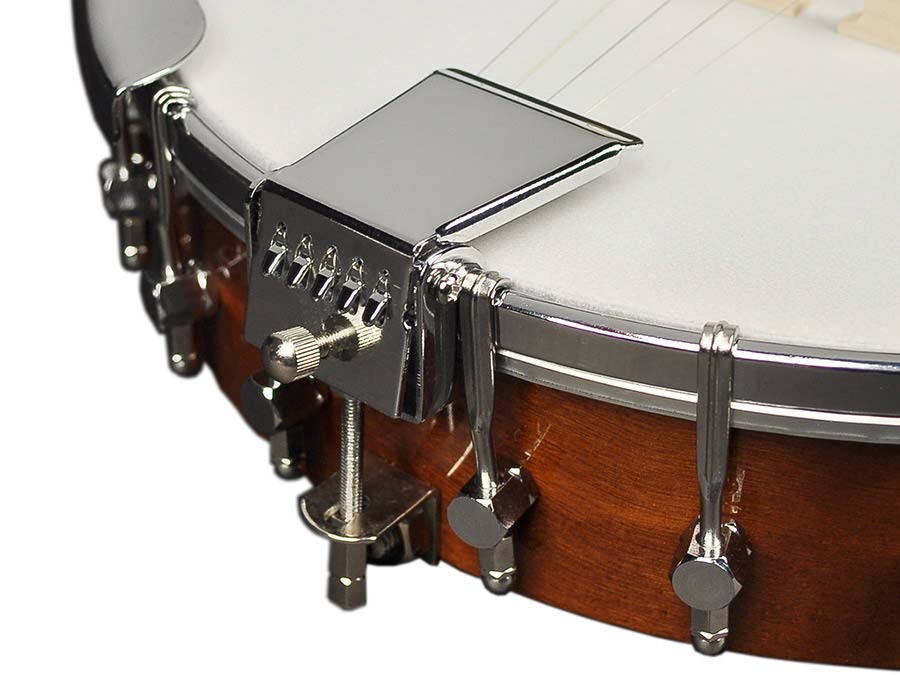 Richwood Master Series open back 5-string folk banjo - 8