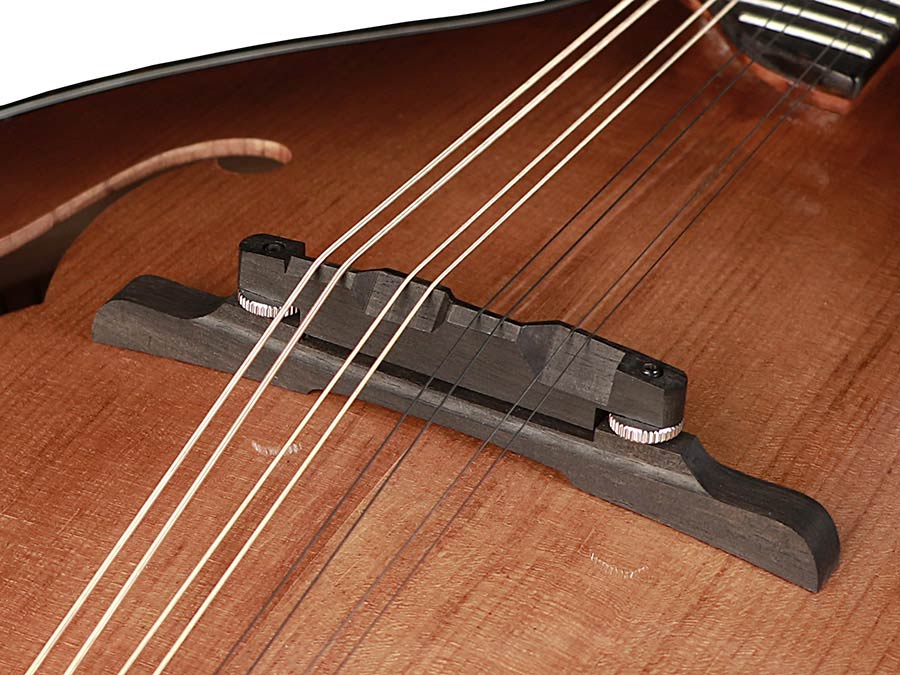 Richwood All Solid Master Series A-style mandolin with solid maple body & solid spruce top - 5