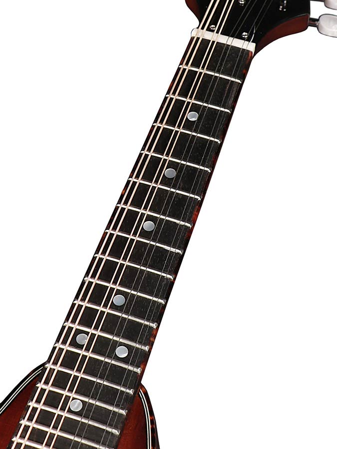 Richwood All Solid Master Series A-style mandolin with solid maple body & solid spruce top - 7