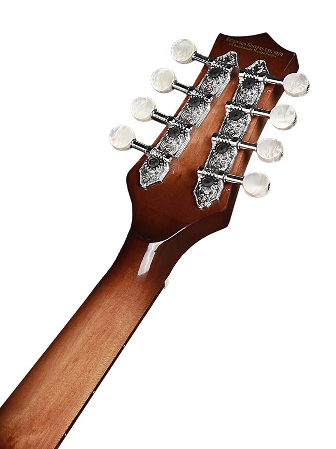 Richwood All Solid Master Series A-style mandolin with solid maple body & solid spruce top - 6